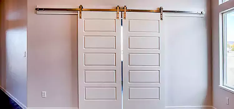 Glass Barn Door with Installation Hardware Kit Chanhassen