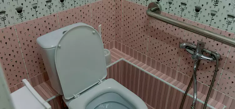Meeting Diverse Needs With Accessible Restroom Solutions in Chanhassen, MN