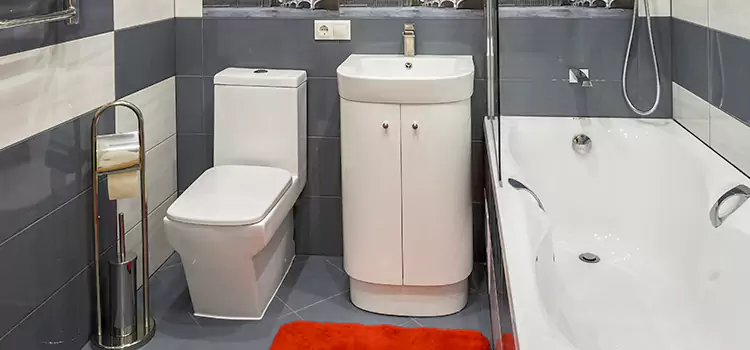 Hansgrohe Shaving Mirror Chanhassen