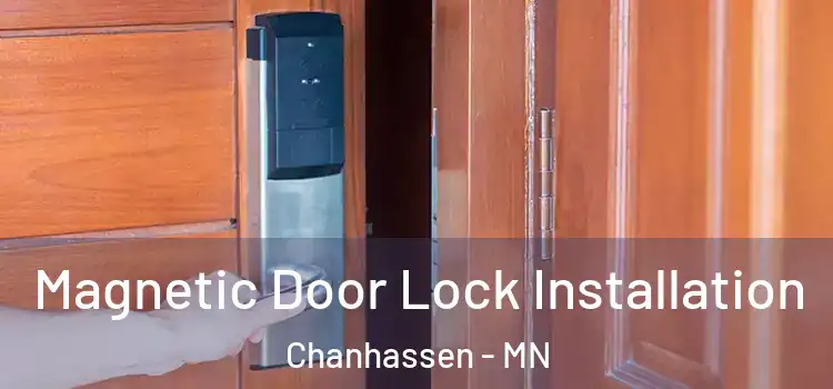  Magnetic Door Lock Installation Chanhassen - MN