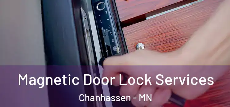  Magnetic Door Lock Services Chanhassen - MN